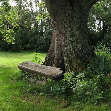 Prázdninový dům Au Chemin De Mazous *
